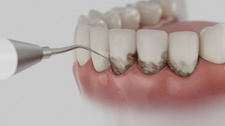 Reliable Dental contractor in Jones County County, NC by Dentist Open Now